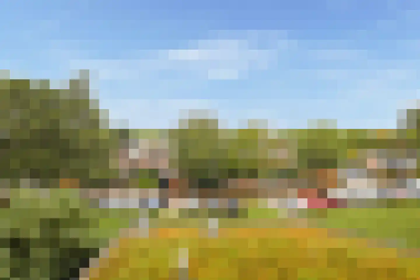 Bolderikkamp 46 Leiderdorp thumbnail 17