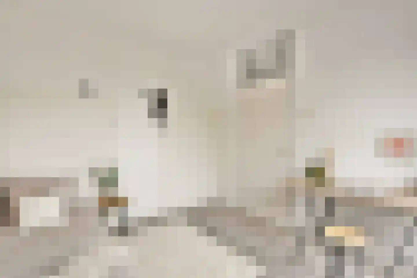 Bolderikkamp 46 Leiderdorp thumbnail 19