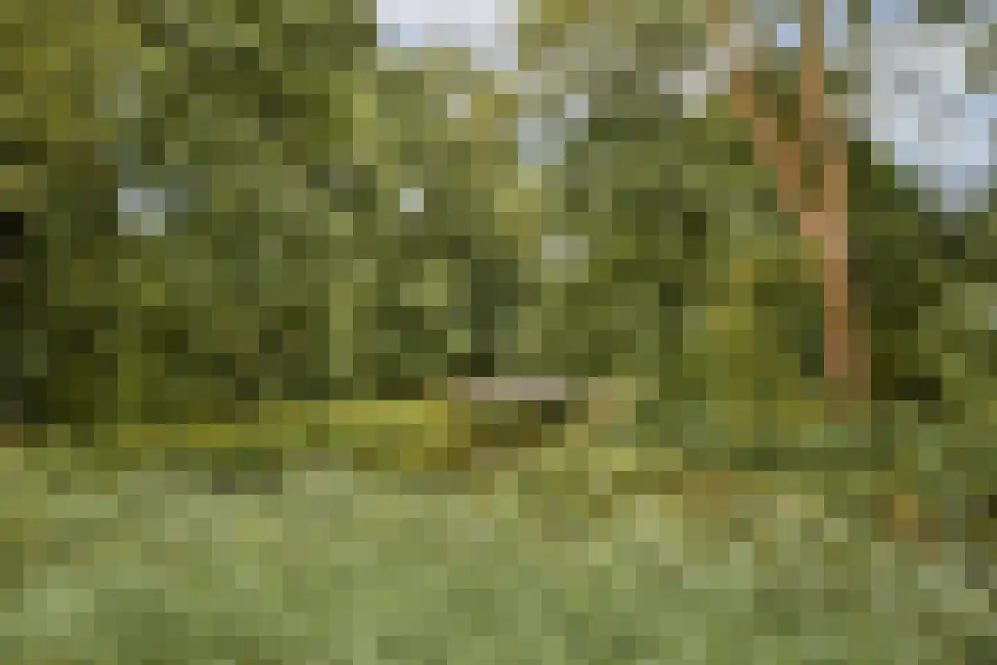 Bolderikkamp 46 Leiderdorp thumbnail 28