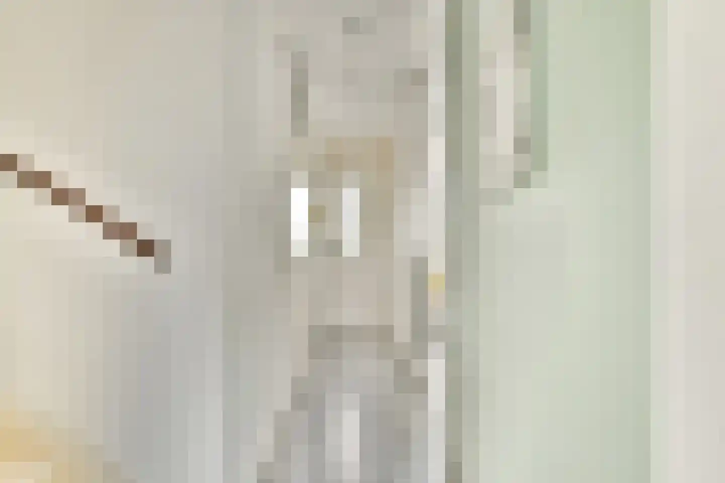 Bolderikkamp 46 Leiderdorp thumbnail 4