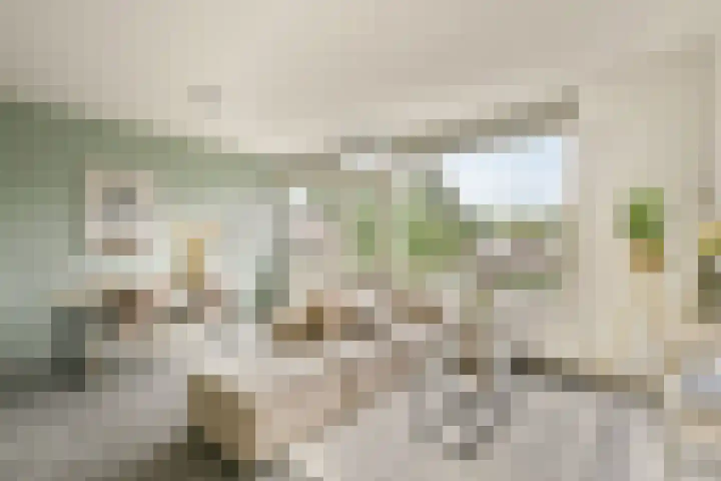 Bolderikkamp 46 Leiderdorp thumbnail 6
