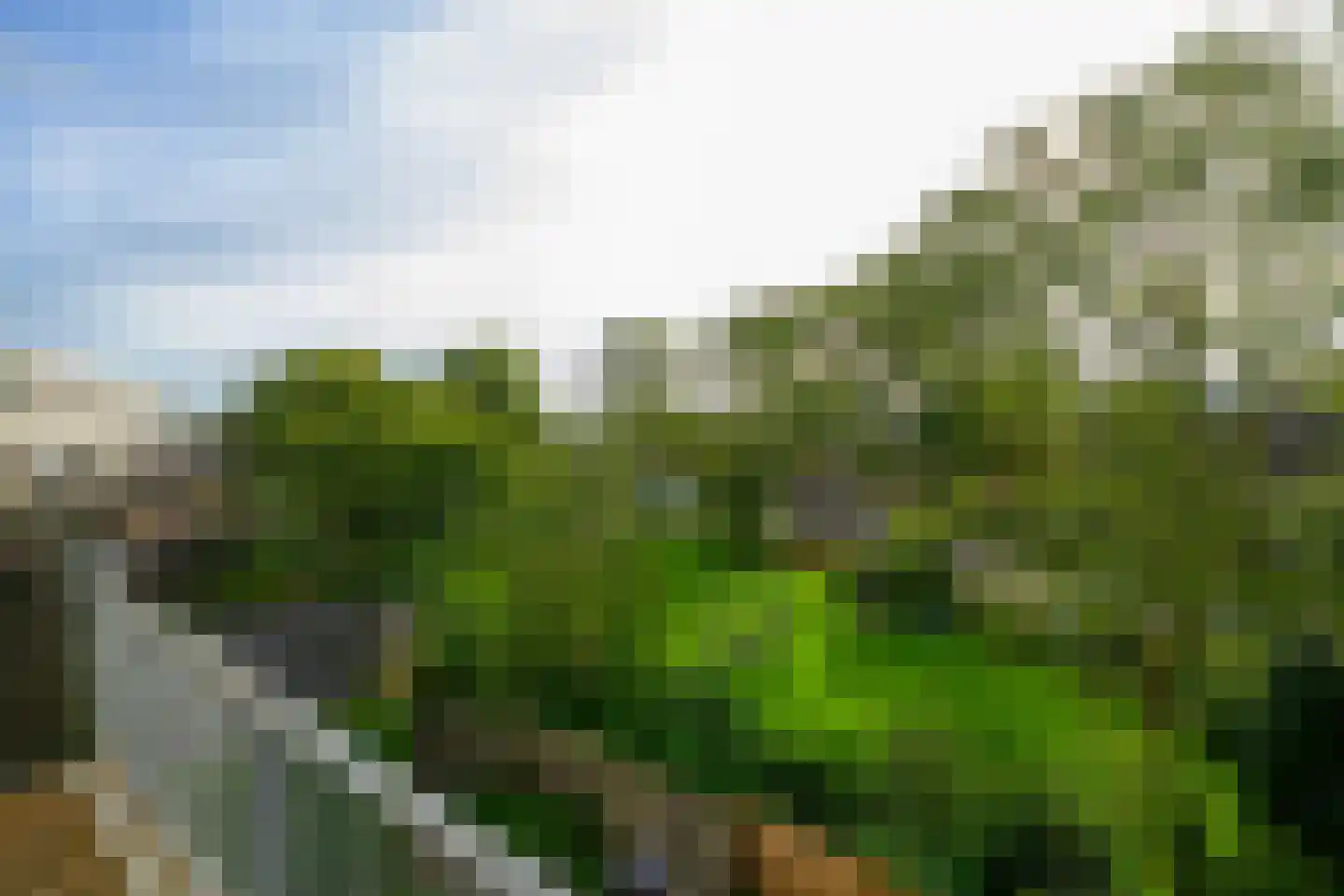 Bolderikkamp 55 Leiderdorp thumbnail 25