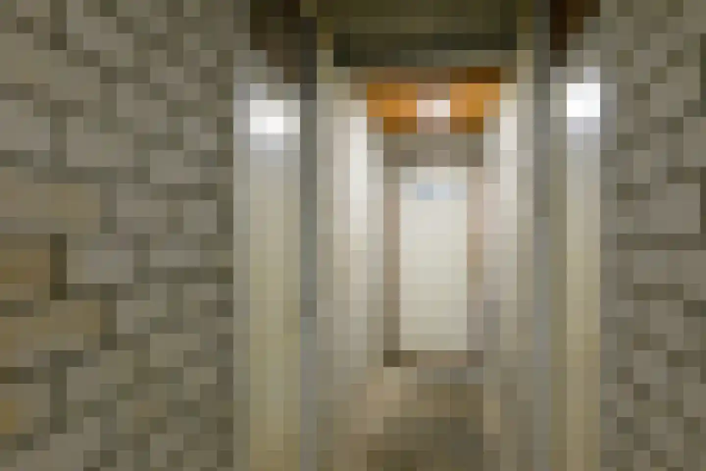 Bolderikkamp 55 Leiderdorp thumbnail 35
