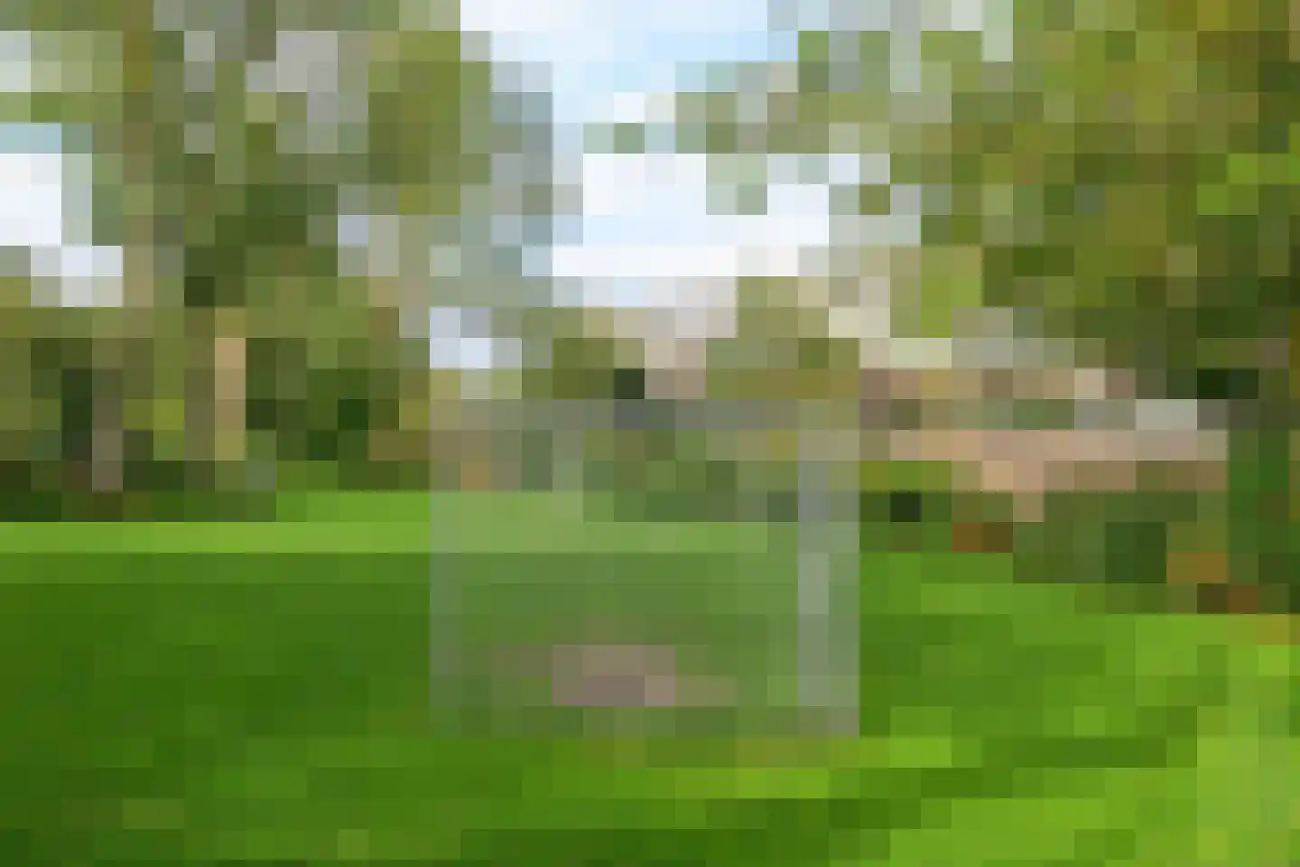 Bolderikkamp 55 Leiderdorp thumbnail 36