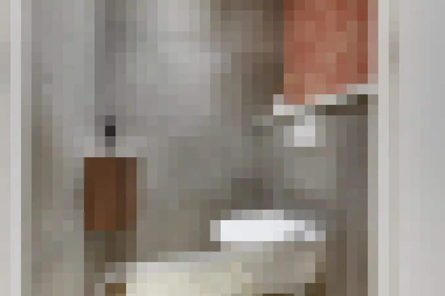 Bolderikkamp 55 Leiderdorp thumbnail 9