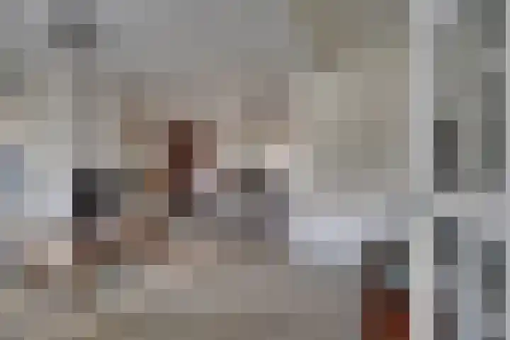 Bolderiklaan 23 Waalre thumbnail 9