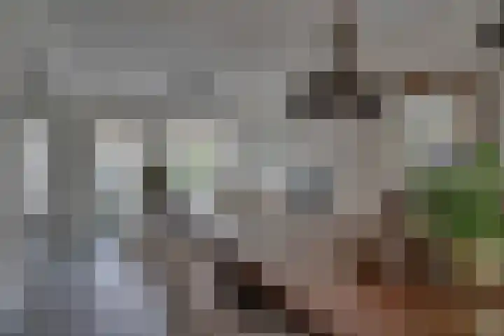 Bolderiklaan 23 Waalre thumbnail 13