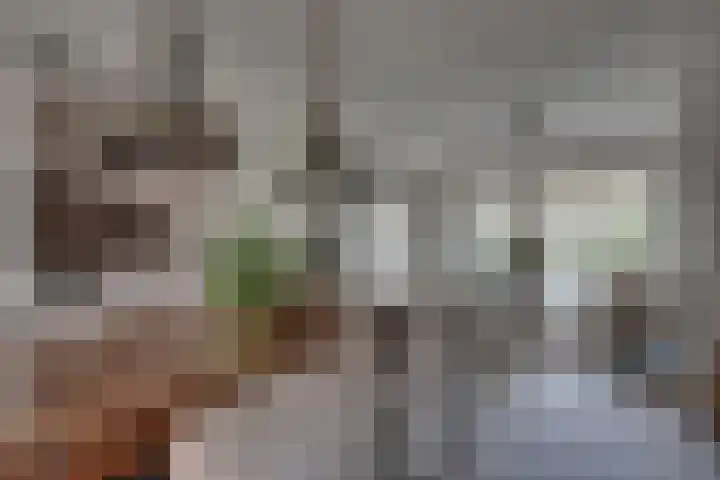 Bolderiklaan 23 Waalre thumbnail 14