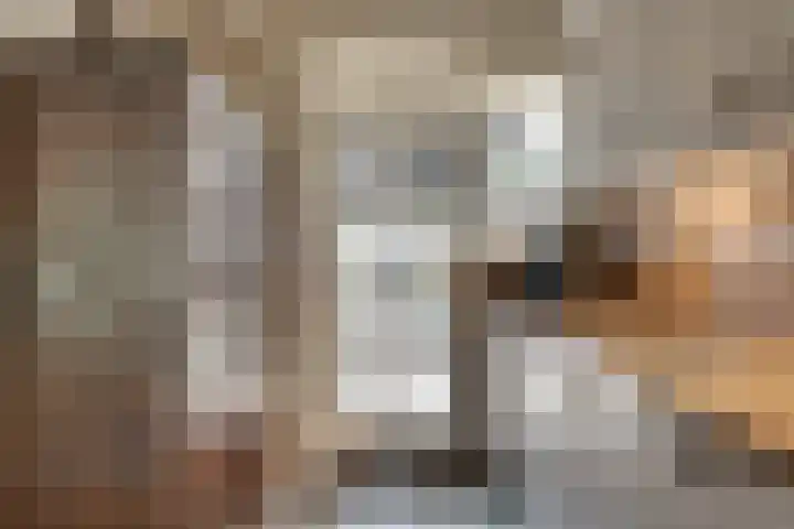 Bolderiklaan 23 Waalre thumbnail 16