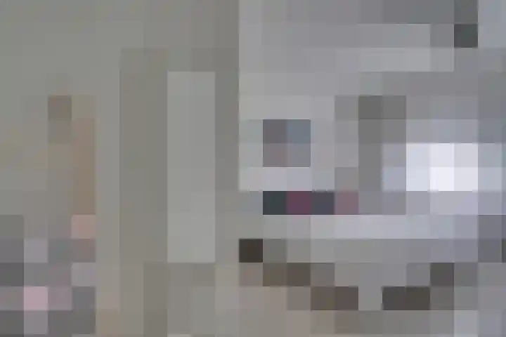 Bolderiklaan 23 Waalre thumbnail 21