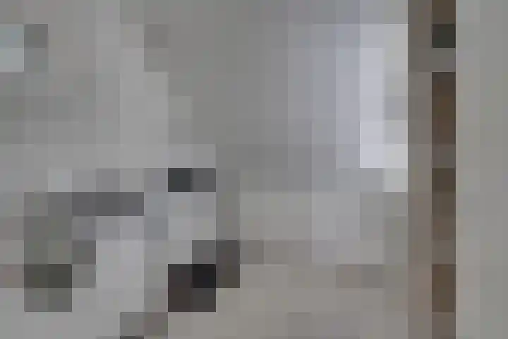 Bolderiklaan 23 Waalre thumbnail 26