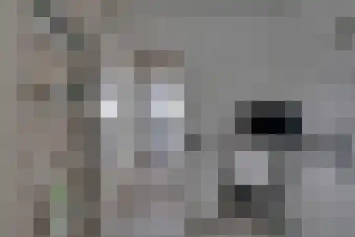 Bolderiklaan 23 Waalre thumbnail 27