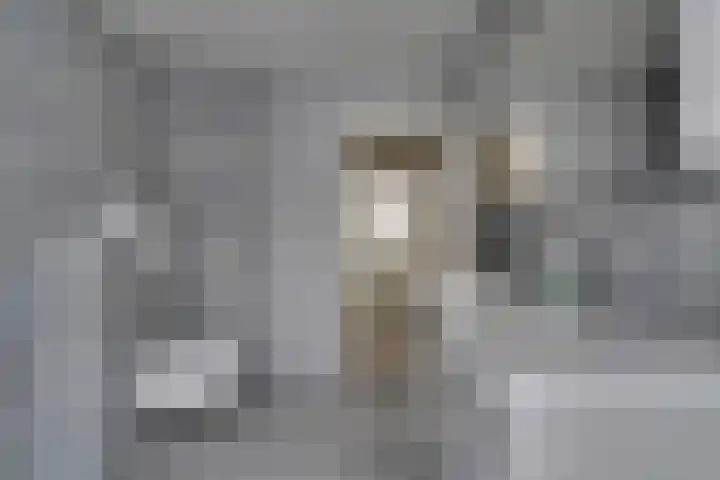 Bolderiklaan 23 Waalre thumbnail 31
