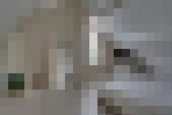 Bolderiklaan 23 Waalre thumbnail 34