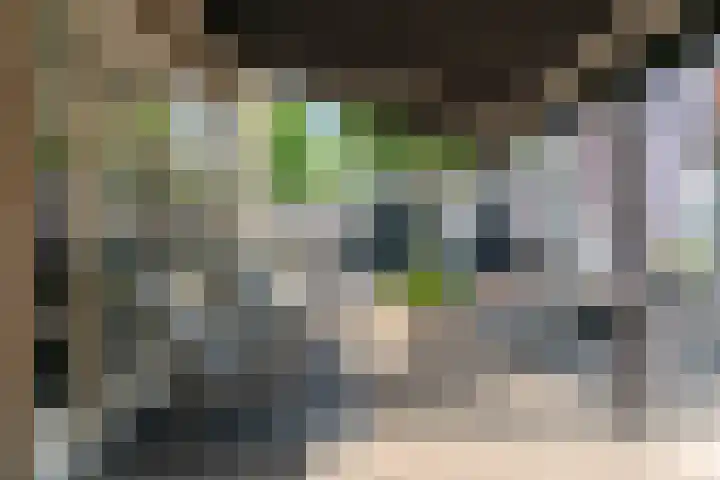 Bolderiklaan 23 Waalre thumbnail 37