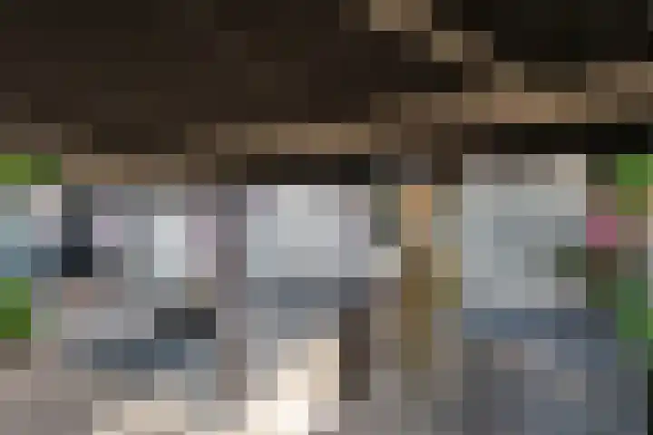Bolderiklaan 23 Waalre thumbnail 38