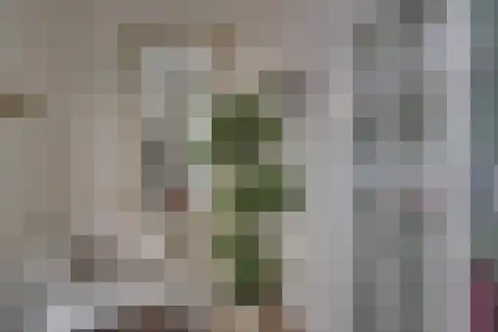 Bolderiklaan 23 Waalre thumbnail 39
