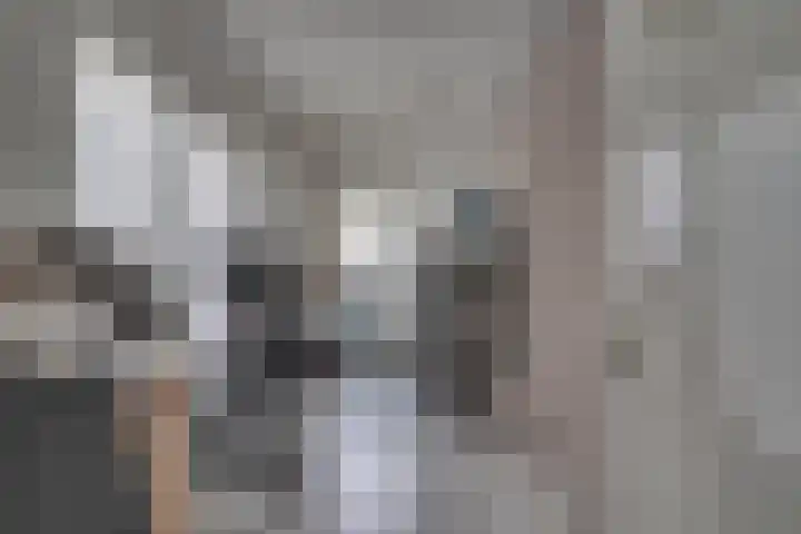 Bolderiklaan 23 Waalre thumbnail 40