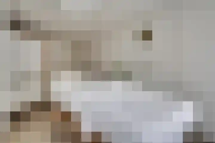 Bolderiklaan 23 Waalre thumbnail 43