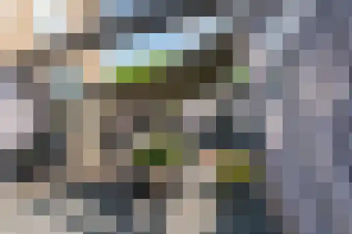 Bolderiklaan 23 Waalre thumbnail 47