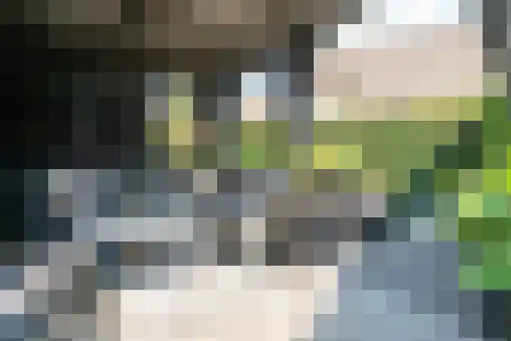 Bolderiklaan 23 Waalre thumbnail 48