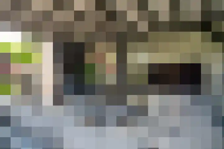 Bolderiklaan 23 Waalre thumbnail 49