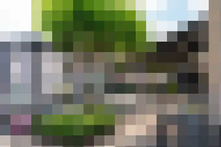 Bolderiklaan 23 Waalre thumbnail 50