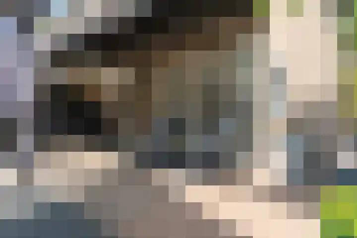Bolderiklaan 23 Waalre thumbnail 51