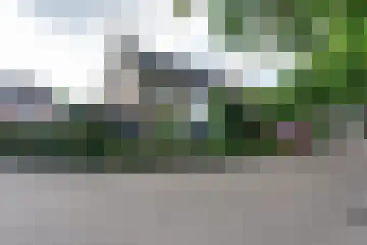 Bolderiklaan 23 Waalre thumbnail 6
