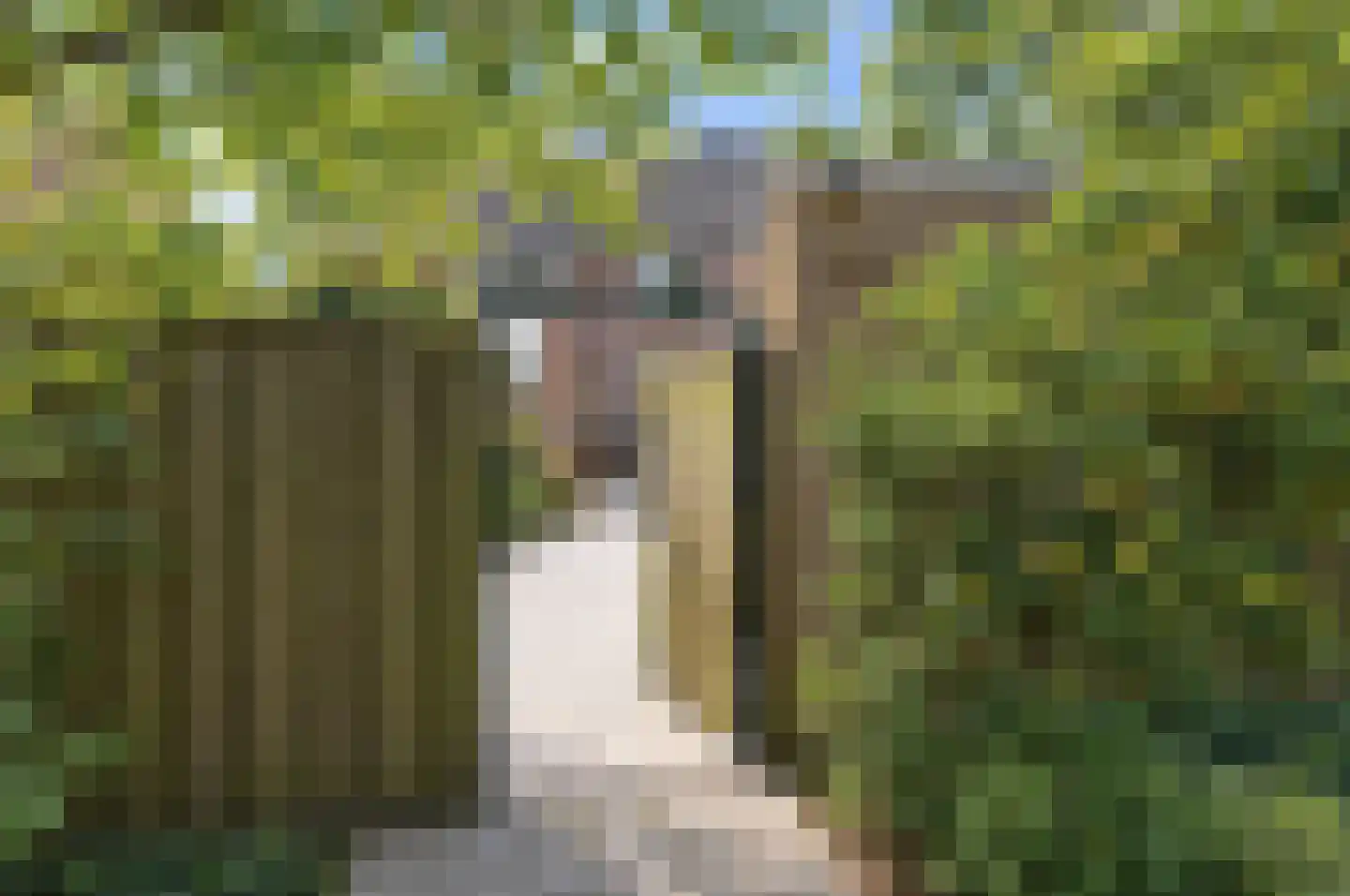 Bolderiklaan 58 Waalre thumbnail 24