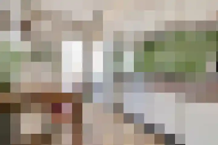Bolderikstraat 15 Waalwijk thumbnail 5