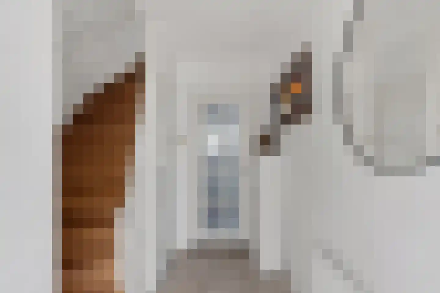 Bolderikstraat 17 Waalwijk thumbnail 6
