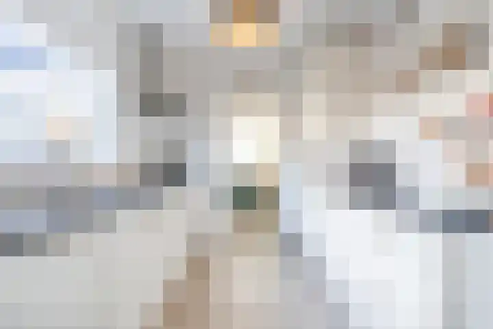 Bolderikstraat 25 Eck en Wiel thumbnail 14