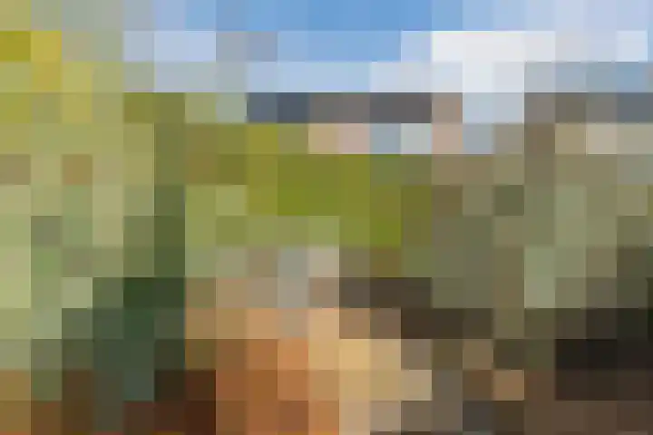 Bolderikstraat 25 Eck en Wiel thumbnail 36