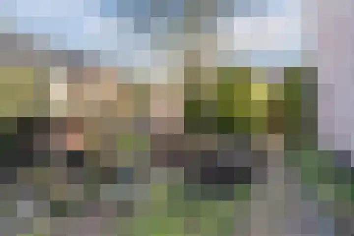 Bolderikstraat 25 Eck en Wiel thumbnail 38