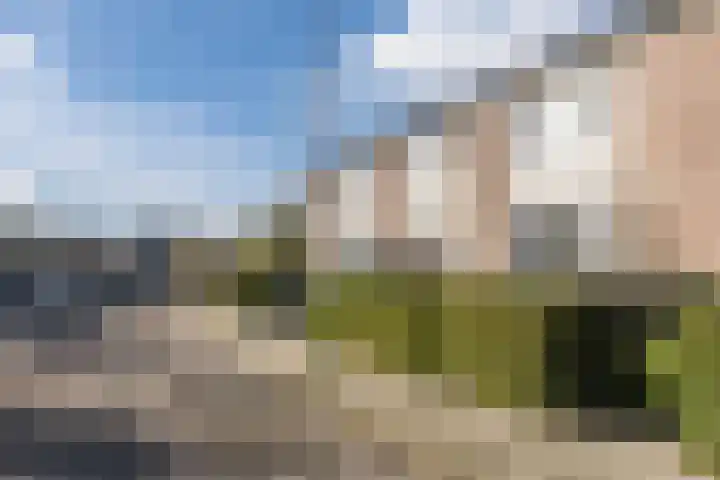 Bolderikstraat 25 Eck en Wiel thumbnail 44