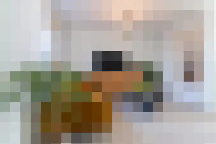 Bolderikstraat 25 Eck en Wiel thumbnail 8