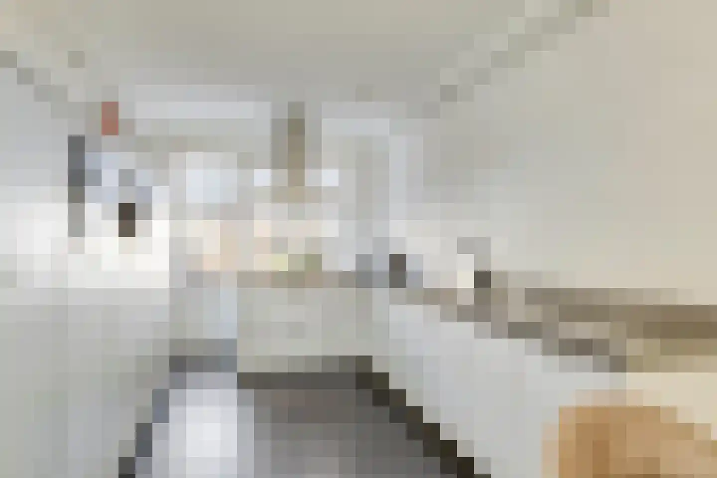 Boldermanhof 3 Veenendaal thumbnail 13