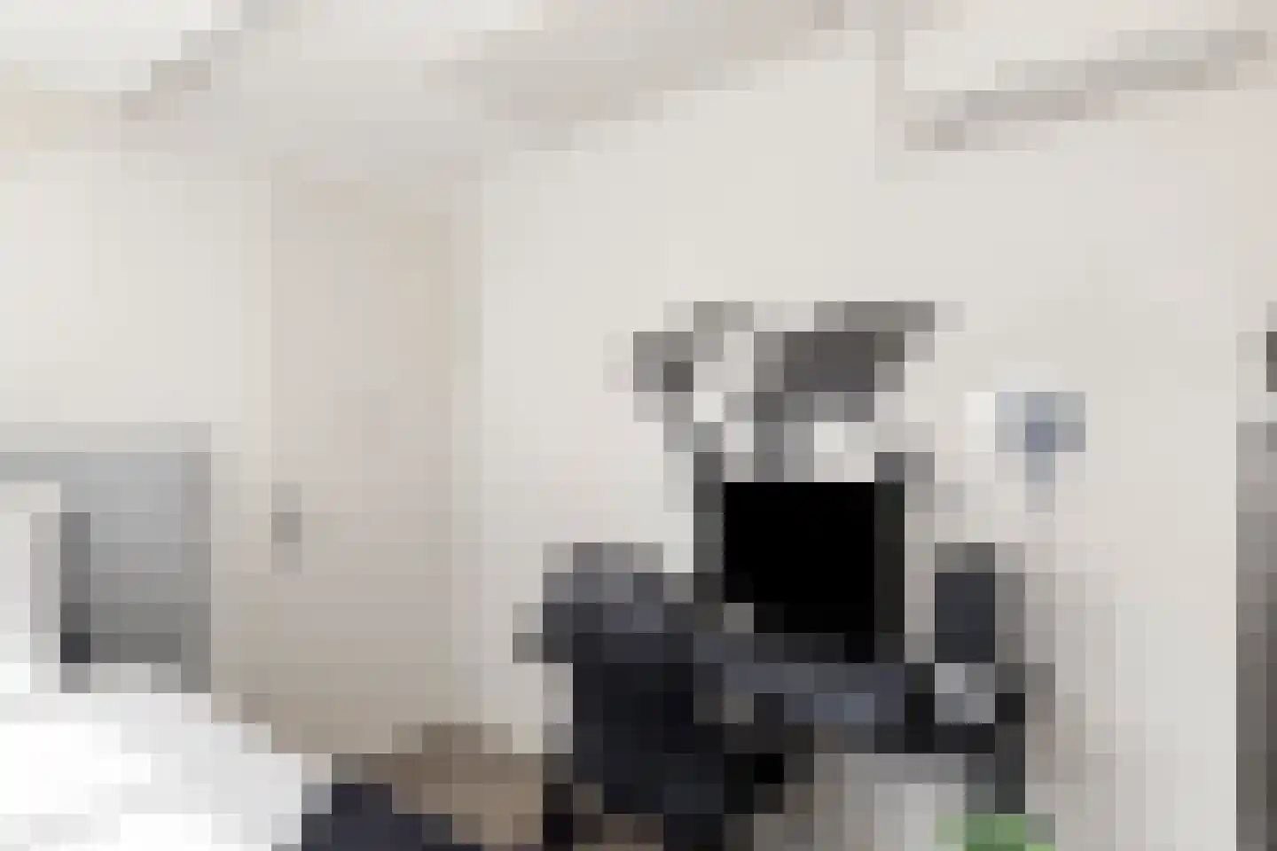 Boldermanhof 3 Veenendaal thumbnail 32