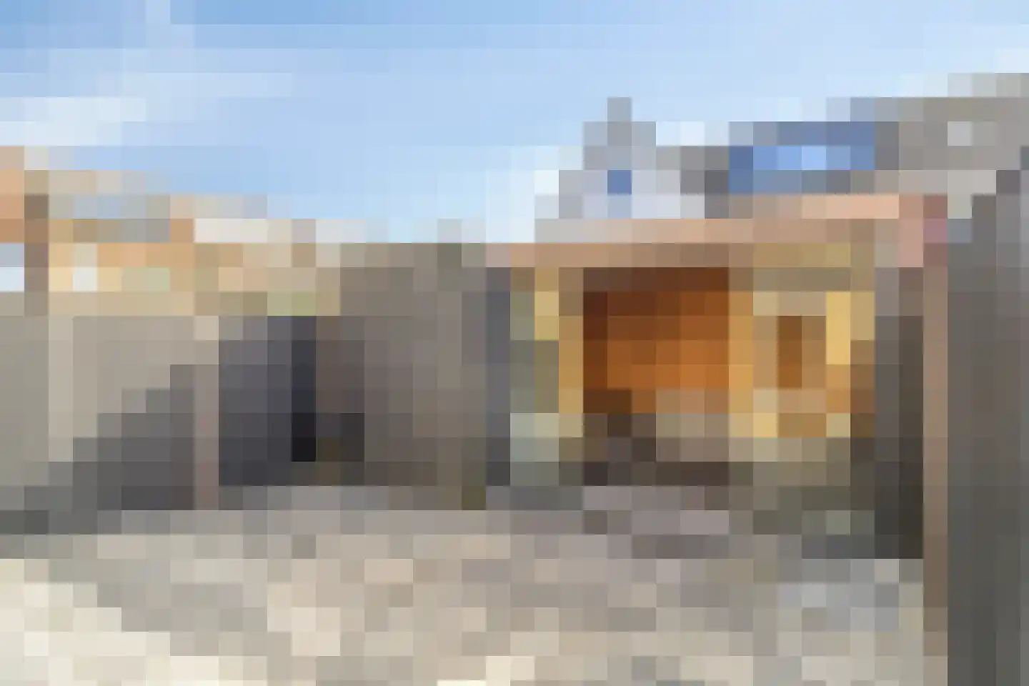 Boldermanhof 3 Veenendaal thumbnail 33