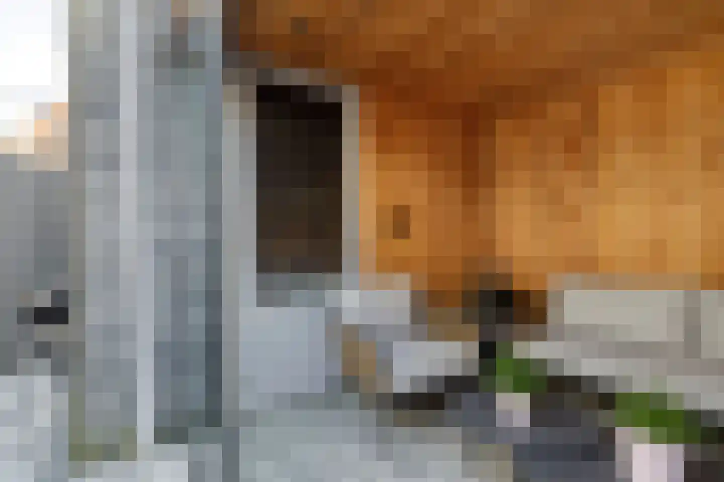 Boldermanhof 3 Veenendaal thumbnail 35
