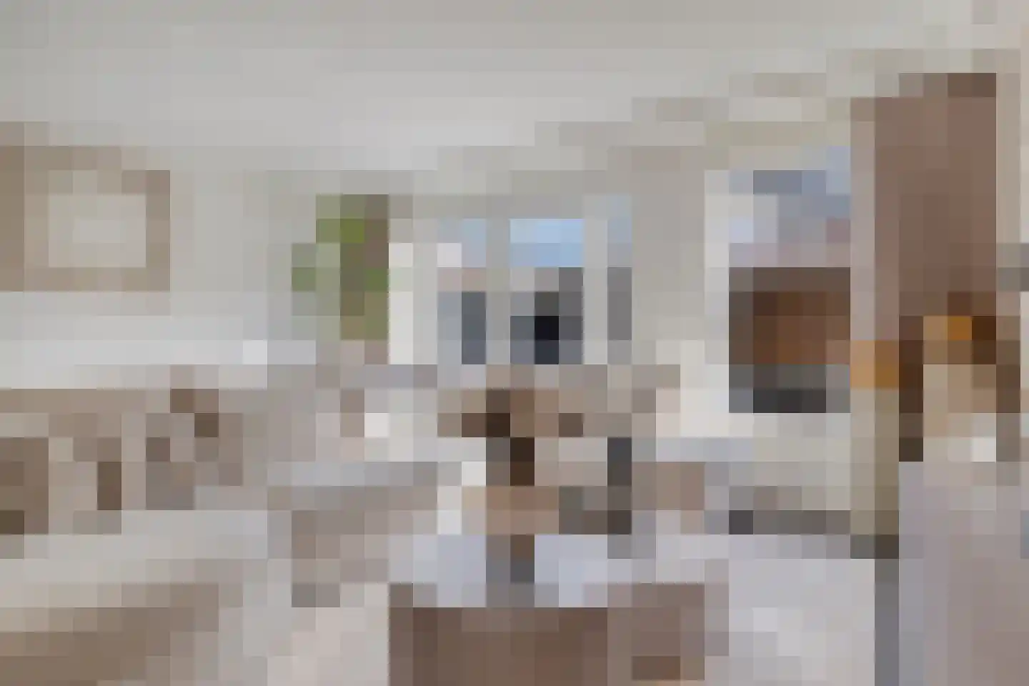 Boldermanhof 3 Veenendaal thumbnail 9