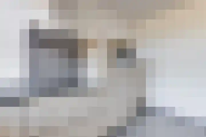 Boldermansweg 10 Winterswijk Huppel thumbnail 14