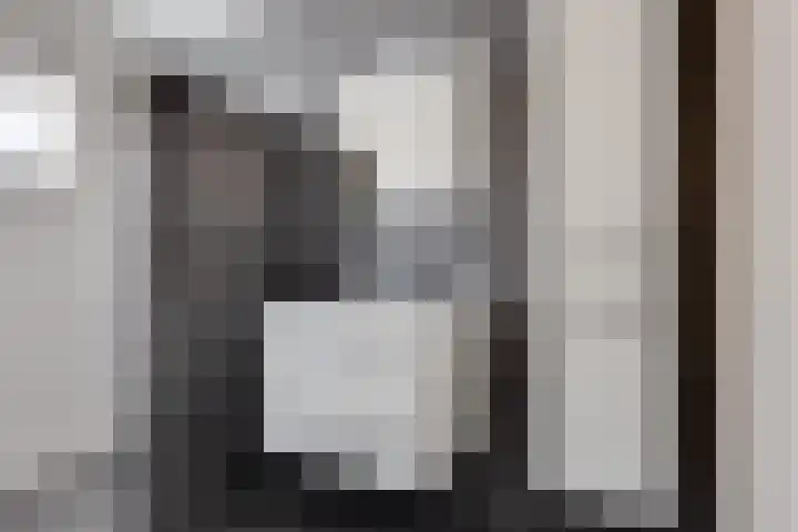 Boldermansweg 10 Winterswijk Huppel thumbnail 18