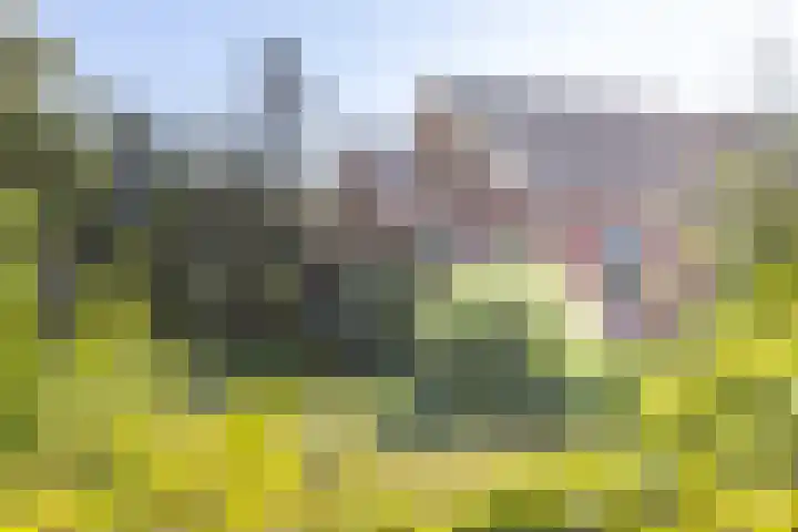 Boldermansweg 10 Winterswijk Huppel thumbnail 4
