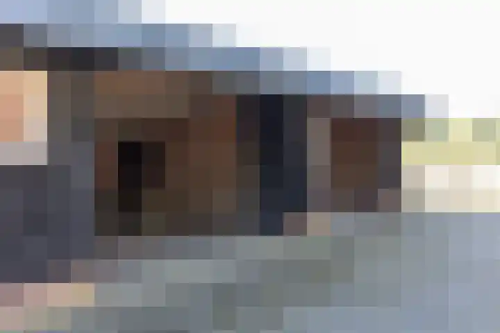 Boldermansweg 10 Winterswijk Huppel thumbnail 41
