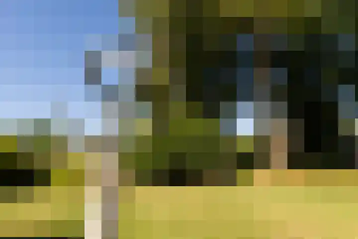 Boldermansweg 10 Winterswijk Huppel thumbnail 44