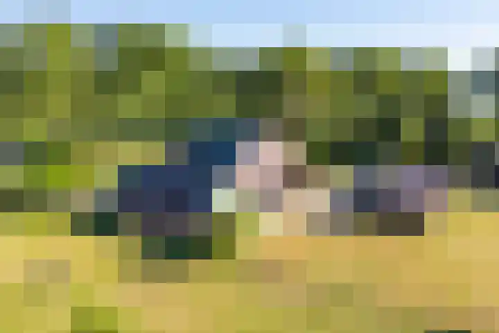 Boldermansweg 10 Winterswijk Huppel thumbnail 6