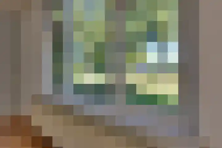 Boldermansweg 12 Winterswijk Huppel thumbnail 10