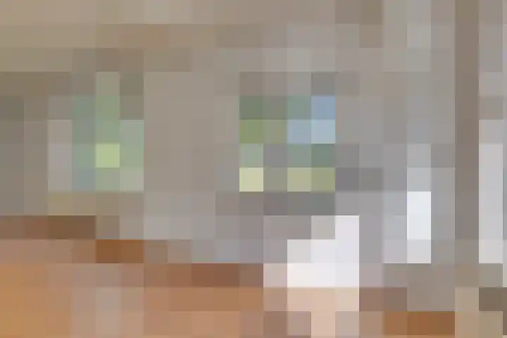 Boldermansweg 12 Winterswijk Huppel thumbnail 12